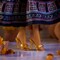 Barbie Signature Diwali Doll By Anita Dongre Wearing Festival Of Lights Look, Holiday Collectible with Doll Stand & Certificate of Authenticity, Ages 6+